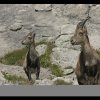 IMG_6500